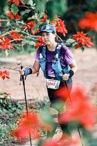 BIB: 
                            <button type="button" onclick="openModal(25461493)" class="btn btn-primary btn-sm float-right btn-popup" data-toggle="modal" data-target=".modal-high-quality">
                        <i class="fas fa-shopping-cart"></i> Add to Cart
                    </button>
                                            <button type="button" onclick="isThisMe(25461493, true)" class="btn btn-success btn-sm float-right btn-popup btn-isme hidden" data-toggle="tooltip" data-placement="bottom" title="นี่คือรูปของคุณใช่ไหม คลิกที่นี่เพื่อเอาเข้าอัลบั้ม">
                        <i class="fas fa-plus"></i> Add to album
                    </button>
                    <button type="button" onclick="isThisMe(25461493, false)" class="btn btn-warning btn-sm float-right btn-popup btn-isnotme hidden">
                        <i class="fas fa-ban"></i> Remove from album
                    </button>