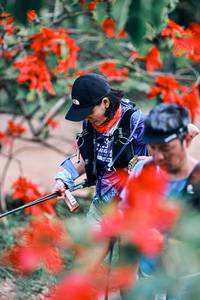 BIB: 
                            <button type="button" onclick="openModal(25461988)" class="btn btn-primary btn-sm float-right btn-popup" data-toggle="modal" data-target=".modal-high-quality">
                        <i class="fas fa-shopping-cart"></i> Add to Cart
                    </button>
                                            <button type="button" onclick="isThisMe(25461988, true)" class="btn btn-success btn-sm float-right btn-popup btn-isme hidden" data-toggle="tooltip" data-placement="bottom" title="นี่คือรูปของคุณใช่ไหม คลิกที่นี่เพื่อเอาเข้าอัลบั้ม">
                        <i class="fas fa-plus"></i> Add to album
                    </button>
                    <button type="button" onclick="isThisMe(25461988, false)" class="btn btn-warning btn-sm float-right btn-popup btn-isnotme hidden">
                        <i class="fas fa-ban"></i> Remove from album
                    </button>