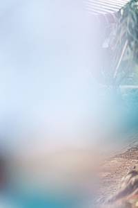 BIB: 
                            <button type="button" onclick="openModal(25429514)" class="btn btn-primary btn-sm float-right btn-popup" data-toggle="modal" data-target=".modal-high-quality">
                        <i class="fas fa-shopping-cart"></i> Add to Cart
                    </button>
                                            <button type="button" onclick="isThisMe(25429514, true)" class="btn btn-success btn-sm float-right btn-popup btn-isme hidden" data-toggle="tooltip" data-placement="bottom" title="นี่คือรูปของคุณใช่ไหม คลิกที่นี่เพื่อเอาเข้าอัลบั้ม">
                        <i class="fas fa-plus"></i> Add to album
                    </button>
                    <button type="button" onclick="isThisMe(25429514, false)" class="btn btn-warning btn-sm float-right btn-popup btn-isnotme hidden">
                        <i class="fas fa-ban"></i> Remove from album
                    </button>