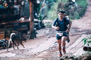 BIB: 
                            <button type="button" onclick="openModal(25427896)" class="btn btn-primary btn-sm float-right btn-popup" data-toggle="modal" data-target=".modal-high-quality">
                        <i class="fas fa-shopping-cart"></i> Add to Cart
                    </button>
                                            <button type="button" onclick="isThisMe(25427896, true)" class="btn btn-success btn-sm float-right btn-popup btn-isme hidden" data-toggle="tooltip" data-placement="bottom" title="นี่คือรูปของคุณใช่ไหม คลิกที่นี่เพื่อเอาเข้าอัลบั้ม">
                        <i class="fas fa-plus"></i> Add to album
                    </button>
                    <button type="button" onclick="isThisMe(25427896, false)" class="btn btn-warning btn-sm float-right btn-popup btn-isnotme hidden">
                        <i class="fas fa-ban"></i> Remove from album
                    </button>