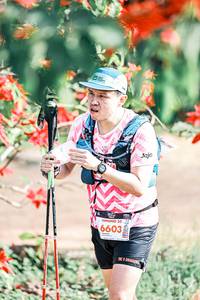 BIB: 
                            <button type="button" onclick="openModal(25462482)" class="btn btn-primary btn-sm float-right btn-popup" data-toggle="modal" data-target=".modal-high-quality">
                        <i class="fas fa-shopping-cart"></i> Add to Cart
                    </button>
                                            <button type="button" onclick="isThisMe(25462482, true)" class="btn btn-success btn-sm float-right btn-popup btn-isme hidden" data-toggle="tooltip" data-placement="bottom" title="นี่คือรูปของคุณใช่ไหม คลิกที่นี่เพื่อเอาเข้าอัลบั้ม">
                        <i class="fas fa-plus"></i> Add to album
                    </button>
                    <button type="button" onclick="isThisMe(25462482, false)" class="btn btn-warning btn-sm float-right btn-popup btn-isnotme hidden">
                        <i class="fas fa-ban"></i> Remove from album
                    </button>