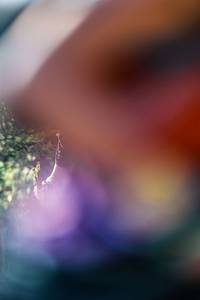 BIB: 
                            <button type="button" onclick="openModal(25435625)" class="btn btn-primary btn-sm float-right btn-popup" data-toggle="modal" data-target=".modal-high-quality">
                        <i class="fas fa-shopping-cart"></i> Add to Cart
                    </button>
                                            <button type="button" onclick="isThisMe(25435625, true)" class="btn btn-success btn-sm float-right btn-popup btn-isme hidden" data-toggle="tooltip" data-placement="bottom" title="นี่คือรูปของคุณใช่ไหม คลิกที่นี่เพื่อเอาเข้าอัลบั้ม">
                        <i class="fas fa-plus"></i> Add to album
                    </button>
                    <button type="button" onclick="isThisMe(25435625, false)" class="btn btn-warning btn-sm float-right btn-popup btn-isnotme hidden">
                        <i class="fas fa-ban"></i> Remove from album
                    </button>