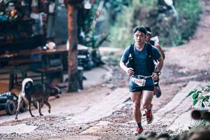 BIB: 
                            <button type="button" onclick="openModal(25427893)" class="btn btn-primary btn-sm float-right btn-popup" data-toggle="modal" data-target=".modal-high-quality">
                        <i class="fas fa-shopping-cart"></i> Add to Cart
                    </button>
                                            <button type="button" onclick="isThisMe(25427893, true)" class="btn btn-success btn-sm float-right btn-popup btn-isme hidden" data-toggle="tooltip" data-placement="bottom" title="นี่คือรูปของคุณใช่ไหม คลิกที่นี่เพื่อเอาเข้าอัลบั้ม">
                        <i class="fas fa-plus"></i> Add to album
                    </button>
                    <button type="button" onclick="isThisMe(25427893, false)" class="btn btn-warning btn-sm float-right btn-popup btn-isnotme hidden">
                        <i class="fas fa-ban"></i> Remove from album
                    </button>