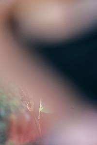 BIB: 
                            <button type="button" onclick="openModal(25429588)" class="btn btn-primary btn-sm float-right btn-popup" data-toggle="modal" data-target=".modal-high-quality">
                        <i class="fas fa-shopping-cart"></i> Add to Cart
                    </button>
                                            <button type="button" onclick="isThisMe(25429588, true)" class="btn btn-success btn-sm float-right btn-popup btn-isme hidden" data-toggle="tooltip" data-placement="bottom" title="นี่คือรูปของคุณใช่ไหม คลิกที่นี่เพื่อเอาเข้าอัลบั้ม">
                        <i class="fas fa-plus"></i> Add to album
                    </button>
                    <button type="button" onclick="isThisMe(25429588, false)" class="btn btn-warning btn-sm float-right btn-popup btn-isnotme hidden">
                        <i class="fas fa-ban"></i> Remove from album
                    </button>