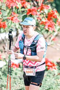 BIB: 
                            <button type="button" onclick="openModal(25462507)" class="btn btn-primary btn-sm float-right btn-popup" data-toggle="modal" data-target=".modal-high-quality">
                        <i class="fas fa-shopping-cart"></i> Add to Cart
                    </button>
                                            <button type="button" onclick="isThisMe(25462507, true)" class="btn btn-success btn-sm float-right btn-popup btn-isme hidden" data-toggle="tooltip" data-placement="bottom" title="นี่คือรูปของคุณใช่ไหม คลิกที่นี่เพื่อเอาเข้าอัลบั้ม">
                        <i class="fas fa-plus"></i> Add to album
                    </button>
                    <button type="button" onclick="isThisMe(25462507, false)" class="btn btn-warning btn-sm float-right btn-popup btn-isnotme hidden">
                        <i class="fas fa-ban"></i> Remove from album
                    </button>