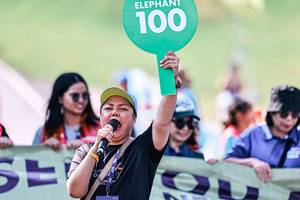 BIB: 
                            <button type="button" onclick="openModal(25890720)" class="btn btn-primary btn-sm float-right btn-popup" data-toggle="modal" data-target=".modal-high-quality">
                        <i class="fas fa-shopping-cart"></i> Add to Cart
                    </button>
                                            <button type="button" onclick="isThisMe(25890720, true)" class="btn btn-success btn-sm float-right btn-popup btn-isme hidden" data-toggle="tooltip" data-placement="bottom" title="นี่คือรูปของคุณใช่ไหม คลิกที่นี่เพื่อเอาเข้าอัลบั้ม">
                        <i class="fas fa-plus"></i> Add to album
                    </button>
                    <button type="button" onclick="isThisMe(25890720, false)" class="btn btn-warning btn-sm float-right btn-popup btn-isnotme hidden">
                        <i class="fas fa-ban"></i> Remove from album
                    </button>