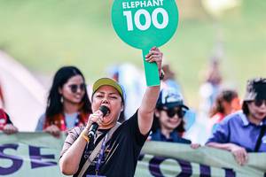 BIB: 
                            <button type="button" onclick="openModal(25890788)" class="btn btn-primary btn-sm float-right btn-popup" data-toggle="modal" data-target=".modal-high-quality">
                        <i class="fas fa-shopping-cart"></i> Add to Cart
                    </button>
                                            <button type="button" onclick="isThisMe(25890788, true)" class="btn btn-success btn-sm float-right btn-popup btn-isme hidden" data-toggle="tooltip" data-placement="bottom" title="นี่คือรูปของคุณใช่ไหม คลิกที่นี่เพื่อเอาเข้าอัลบั้ม">
                        <i class="fas fa-plus"></i> Add to album
                    </button>
                    <button type="button" onclick="isThisMe(25890788, false)" class="btn btn-warning btn-sm float-right btn-popup btn-isnotme hidden">
                        <i class="fas fa-ban"></i> Remove from album
                    </button>