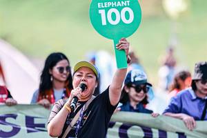 BIB: 
                            <button type="button" onclick="openModal(25890786)" class="btn btn-primary btn-sm float-right btn-popup" data-toggle="modal" data-target=".modal-high-quality">
                        <i class="fas fa-shopping-cart"></i> Add to Cart
                    </button>
                                            <button type="button" onclick="isThisMe(25890786, true)" class="btn btn-success btn-sm float-right btn-popup btn-isme hidden" data-toggle="tooltip" data-placement="bottom" title="นี่คือรูปของคุณใช่ไหม คลิกที่นี่เพื่อเอาเข้าอัลบั้ม">
                        <i class="fas fa-plus"></i> Add to album
                    </button>
                    <button type="button" onclick="isThisMe(25890786, false)" class="btn btn-warning btn-sm float-right btn-popup btn-isnotme hidden">
                        <i class="fas fa-ban"></i> Remove from album
                    </button>