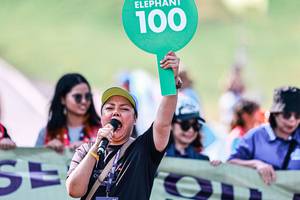 BIB: 
                            <button type="button" onclick="openModal(25890753)" class="btn btn-primary btn-sm float-right btn-popup" data-toggle="modal" data-target=".modal-high-quality">
                        <i class="fas fa-shopping-cart"></i> Add to Cart
                    </button>
                                            <button type="button" onclick="isThisMe(25890753, true)" class="btn btn-success btn-sm float-right btn-popup btn-isme hidden" data-toggle="tooltip" data-placement="bottom" title="นี่คือรูปของคุณใช่ไหม คลิกที่นี่เพื่อเอาเข้าอัลบั้ม">
                        <i class="fas fa-plus"></i> Add to album
                    </button>
                    <button type="button" onclick="isThisMe(25890753, false)" class="btn btn-warning btn-sm float-right btn-popup btn-isnotme hidden">
                        <i class="fas fa-ban"></i> Remove from album
                    </button>