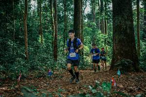 BIB: 
                            <button type="button" onclick="openModal(26130587)" class="btn btn-primary btn-sm float-right btn-popup" data-toggle="modal" data-target=".modal-high-quality">
                        <i class="fas fa-shopping-cart"></i> Add to Cart
                    </button>
                                            <button type="button" onclick="isThisMe(26130587, true)" class="btn btn-success btn-sm float-right btn-popup btn-isme hidden" data-toggle="tooltip" data-placement="bottom" title="นี่คือรูปของคุณใช่ไหม คลิกที่นี่เพื่อเอาเข้าอัลบั้ม">
                        <i class="fas fa-plus"></i> Add to album
                    </button>
                    <button type="button" onclick="isThisMe(26130587, false)" class="btn btn-warning btn-sm float-right btn-popup btn-isnotme hidden">
                        <i class="fas fa-ban"></i> Remove from album
                    </button>