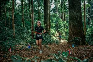 BIB: 
                            <button type="button" onclick="openModal(26128435)" class="btn btn-primary btn-sm float-right btn-popup" data-toggle="modal" data-target=".modal-high-quality">
                        <i class="fas fa-shopping-cart"></i> Add to Cart
                    </button>
                                            <button type="button" onclick="isThisMe(26128435, true)" class="btn btn-success btn-sm float-right btn-popup btn-isme hidden" data-toggle="tooltip" data-placement="bottom" title="นี่คือรูปของคุณใช่ไหม คลิกที่นี่เพื่อเอาเข้าอัลบั้ม">
                        <i class="fas fa-plus"></i> Add to album
                    </button>
                    <button type="button" onclick="isThisMe(26128435, false)" class="btn btn-warning btn-sm float-right btn-popup btn-isnotme hidden">
                        <i class="fas fa-ban"></i> Remove from album
                    </button>