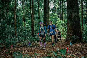 BIB: 
                            <button type="button" onclick="openModal(26133949)" class="btn btn-primary btn-sm float-right btn-popup" data-toggle="modal" data-target=".modal-high-quality">
                        <i class="fas fa-shopping-cart"></i> Add to Cart
                    </button>
                                            <button type="button" onclick="isThisMe(26133949, true)" class="btn btn-success btn-sm float-right btn-popup btn-isme hidden" data-toggle="tooltip" data-placement="bottom" title="นี่คือรูปของคุณใช่ไหม คลิกที่นี่เพื่อเอาเข้าอัลบั้ม">
                        <i class="fas fa-plus"></i> Add to album
                    </button>
                    <button type="button" onclick="isThisMe(26133949, false)" class="btn btn-warning btn-sm float-right btn-popup btn-isnotme hidden">
                        <i class="fas fa-ban"></i> Remove from album
                    </button>