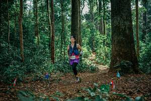 BIB: 
                            <button type="button" onclick="openModal(26129330)" class="btn btn-primary btn-sm float-right btn-popup" data-toggle="modal" data-target=".modal-high-quality">
                        <i class="fas fa-shopping-cart"></i> Add to Cart
                    </button>
                                            <button type="button" onclick="isThisMe(26129330, true)" class="btn btn-success btn-sm float-right btn-popup btn-isme hidden" data-toggle="tooltip" data-placement="bottom" title="นี่คือรูปของคุณใช่ไหม คลิกที่นี่เพื่อเอาเข้าอัลบั้ม">
                        <i class="fas fa-plus"></i> Add to album
                    </button>
                    <button type="button" onclick="isThisMe(26129330, false)" class="btn btn-warning btn-sm float-right btn-popup btn-isnotme hidden">
                        <i class="fas fa-ban"></i> Remove from album
                    </button>