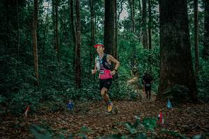 BIB: 
                            <button type="button" onclick="openModal(26131778)" class="btn btn-primary btn-sm float-right btn-popup" data-toggle="modal" data-target=".modal-high-quality">
                        <i class="fas fa-shopping-cart"></i> Add to Cart
                    </button>
                                            <button type="button" onclick="isThisMe(26131778, true)" class="btn btn-success btn-sm float-right btn-popup btn-isme hidden" data-toggle="tooltip" data-placement="bottom" title="นี่คือรูปของคุณใช่ไหม คลิกที่นี่เพื่อเอาเข้าอัลบั้ม">
                        <i class="fas fa-plus"></i> Add to album
                    </button>
                    <button type="button" onclick="isThisMe(26131778, false)" class="btn btn-warning btn-sm float-right btn-popup btn-isnotme hidden">
                        <i class="fas fa-ban"></i> Remove from album
                    </button>