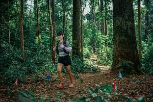 BIB: 
                            <button type="button" onclick="openModal(26129360)" class="btn btn-primary btn-sm float-right btn-popup" data-toggle="modal" data-target=".modal-high-quality">
                        <i class="fas fa-shopping-cart"></i> Add to Cart
                    </button>
                                            <button type="button" onclick="isThisMe(26129360, true)" class="btn btn-success btn-sm float-right btn-popup btn-isme hidden" data-toggle="tooltip" data-placement="bottom" title="นี่คือรูปของคุณใช่ไหม คลิกที่นี่เพื่อเอาเข้าอัลบั้ม">
                        <i class="fas fa-plus"></i> Add to album
                    </button>
                    <button type="button" onclick="isThisMe(26129360, false)" class="btn btn-warning btn-sm float-right btn-popup btn-isnotme hidden">
                        <i class="fas fa-ban"></i> Remove from album
                    </button>