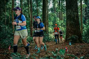 BIB: 
                            <button type="button" onclick="openModal(26128631)" class="btn btn-primary btn-sm float-right btn-popup" data-toggle="modal" data-target=".modal-high-quality">
                        <i class="fas fa-shopping-cart"></i> Add to Cart
                    </button>
                                            <button type="button" onclick="isThisMe(26128631, true)" class="btn btn-success btn-sm float-right btn-popup btn-isme hidden" data-toggle="tooltip" data-placement="bottom" title="นี่คือรูปของคุณใช่ไหม คลิกที่นี่เพื่อเอาเข้าอัลบั้ม">
                        <i class="fas fa-plus"></i> Add to album
                    </button>
                    <button type="button" onclick="isThisMe(26128631, false)" class="btn btn-warning btn-sm float-right btn-popup btn-isnotme hidden">
                        <i class="fas fa-ban"></i> Remove from album
                    </button>