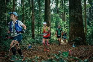 BIB: 
                            <button type="button" onclick="openModal(26128553)" class="btn btn-primary btn-sm float-right btn-popup" data-toggle="modal" data-target=".modal-high-quality">
                        <i class="fas fa-shopping-cart"></i> Add to Cart
                    </button>
                                            <button type="button" onclick="isThisMe(26128553, true)" class="btn btn-success btn-sm float-right btn-popup btn-isme hidden" data-toggle="tooltip" data-placement="bottom" title="นี่คือรูปของคุณใช่ไหม คลิกที่นี่เพื่อเอาเข้าอัลบั้ม">
                        <i class="fas fa-plus"></i> Add to album
                    </button>
                    <button type="button" onclick="isThisMe(26128553, false)" class="btn btn-warning btn-sm float-right btn-popup btn-isnotme hidden">
                        <i class="fas fa-ban"></i> Remove from album
                    </button>