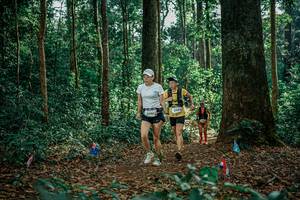 BIB: 
                            <button type="button" onclick="openModal(26128349)" class="btn btn-primary btn-sm float-right btn-popup" data-toggle="modal" data-target=".modal-high-quality">
                        <i class="fas fa-shopping-cart"></i> Add to Cart
                    </button>
                                            <button type="button" onclick="isThisMe(26128349, true)" class="btn btn-success btn-sm float-right btn-popup btn-isme hidden" data-toggle="tooltip" data-placement="bottom" title="นี่คือรูปของคุณใช่ไหม คลิกที่นี่เพื่อเอาเข้าอัลบั้ม">
                        <i class="fas fa-plus"></i> Add to album
                    </button>
                    <button type="button" onclick="isThisMe(26128349, false)" class="btn btn-warning btn-sm float-right btn-popup btn-isnotme hidden">
                        <i class="fas fa-ban"></i> Remove from album
                    </button>