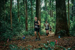 BIB: 
                            <button type="button" onclick="openModal(26128707)" class="btn btn-primary btn-sm float-right btn-popup" data-toggle="modal" data-target=".modal-high-quality">
                        <i class="fas fa-shopping-cart"></i> Add to Cart
                    </button>
                                            <button type="button" onclick="isThisMe(26128707, true)" class="btn btn-success btn-sm float-right btn-popup btn-isme hidden" data-toggle="tooltip" data-placement="bottom" title="นี่คือรูปของคุณใช่ไหม คลิกที่นี่เพื่อเอาเข้าอัลบั้ม">
                        <i class="fas fa-plus"></i> Add to album
                    </button>
                    <button type="button" onclick="isThisMe(26128707, false)" class="btn btn-warning btn-sm float-right btn-popup btn-isnotme hidden">
                        <i class="fas fa-ban"></i> Remove from album
                    </button>