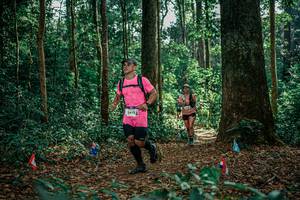 BIB: 
                            <button type="button" onclick="openModal(26128225)" class="btn btn-primary btn-sm float-right btn-popup" data-toggle="modal" data-target=".modal-high-quality">
                        <i class="fas fa-shopping-cart"></i> Add to Cart
                    </button>
                                            <button type="button" onclick="isThisMe(26128225, true)" class="btn btn-success btn-sm float-right btn-popup btn-isme hidden" data-toggle="tooltip" data-placement="bottom" title="นี่คือรูปของคุณใช่ไหม คลิกที่นี่เพื่อเอาเข้าอัลบั้ม">
                        <i class="fas fa-plus"></i> Add to album
                    </button>
                    <button type="button" onclick="isThisMe(26128225, false)" class="btn btn-warning btn-sm float-right btn-popup btn-isnotme hidden">
                        <i class="fas fa-ban"></i> Remove from album
                    </button>