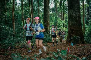 BIB: 
                            <button type="button" onclick="openModal(26128861)" class="btn btn-primary btn-sm float-right btn-popup" data-toggle="modal" data-target=".modal-high-quality">
                        <i class="fas fa-shopping-cart"></i> Add to Cart
                    </button>
                                            <button type="button" onclick="isThisMe(26128861, true)" class="btn btn-success btn-sm float-right btn-popup btn-isme hidden" data-toggle="tooltip" data-placement="bottom" title="นี่คือรูปของคุณใช่ไหม คลิกที่นี่เพื่อเอาเข้าอัลบั้ม">
                        <i class="fas fa-plus"></i> Add to album
                    </button>
                    <button type="button" onclick="isThisMe(26128861, false)" class="btn btn-warning btn-sm float-right btn-popup btn-isnotme hidden">
                        <i class="fas fa-ban"></i> Remove from album
                    </button>