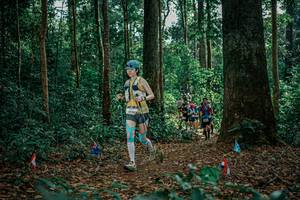 BIB: 
                            <button type="button" onclick="openModal(26128740)" class="btn btn-primary btn-sm float-right btn-popup" data-toggle="modal" data-target=".modal-high-quality">
                        <i class="fas fa-shopping-cart"></i> Add to Cart
                    </button>
                                            <button type="button" onclick="isThisMe(26128740, true)" class="btn btn-success btn-sm float-right btn-popup btn-isme hidden" data-toggle="tooltip" data-placement="bottom" title="นี่คือรูปของคุณใช่ไหม คลิกที่นี่เพื่อเอาเข้าอัลบั้ม">
                        <i class="fas fa-plus"></i> Add to album
                    </button>
                    <button type="button" onclick="isThisMe(26128740, false)" class="btn btn-warning btn-sm float-right btn-popup btn-isnotme hidden">
                        <i class="fas fa-ban"></i> Remove from album
                    </button>