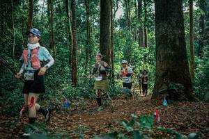 BIB: 
                            <button type="button" onclick="openModal(26128881)" class="btn btn-primary btn-sm float-right btn-popup" data-toggle="modal" data-target=".modal-high-quality">
                        <i class="fas fa-shopping-cart"></i> Add to Cart
                    </button>
                                            <button type="button" onclick="isThisMe(26128881, true)" class="btn btn-success btn-sm float-right btn-popup btn-isme hidden" data-toggle="tooltip" data-placement="bottom" title="นี่คือรูปของคุณใช่ไหม คลิกที่นี่เพื่อเอาเข้าอัลบั้ม">
                        <i class="fas fa-plus"></i> Add to album
                    </button>
                    <button type="button" onclick="isThisMe(26128881, false)" class="btn btn-warning btn-sm float-right btn-popup btn-isnotme hidden">
                        <i class="fas fa-ban"></i> Remove from album
                    </button>