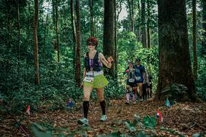 BIB: 
                            <button type="button" onclick="openModal(26133905)" class="btn btn-primary btn-sm float-right btn-popup" data-toggle="modal" data-target=".modal-high-quality">
                        <i class="fas fa-shopping-cart"></i> Add to Cart
                    </button>
                                            <button type="button" onclick="isThisMe(26133905, true)" class="btn btn-success btn-sm float-right btn-popup btn-isme hidden" data-toggle="tooltip" data-placement="bottom" title="นี่คือรูปของคุณใช่ไหม คลิกที่นี่เพื่อเอาเข้าอัลบั้ม">
                        <i class="fas fa-plus"></i> Add to album
                    </button>
                    <button type="button" onclick="isThisMe(26133905, false)" class="btn btn-warning btn-sm float-right btn-popup btn-isnotme hidden">
                        <i class="fas fa-ban"></i> Remove from album
                    </button>