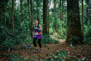 BIB: 
                            <button type="button" onclick="openModal(26129335)" class="btn btn-primary btn-sm float-right btn-popup" data-toggle="modal" data-target=".modal-high-quality">
                        <i class="fas fa-shopping-cart"></i> Add to Cart
                    </button>
                                            <button type="button" onclick="isThisMe(26129335, true)" class="btn btn-success btn-sm float-right btn-popup btn-isme hidden" data-toggle="tooltip" data-placement="bottom" title="นี่คือรูปของคุณใช่ไหม คลิกที่นี่เพื่อเอาเข้าอัลบั้ม">
                        <i class="fas fa-plus"></i> Add to album
                    </button>
                    <button type="button" onclick="isThisMe(26129335, false)" class="btn btn-warning btn-sm float-right btn-popup btn-isnotme hidden">
                        <i class="fas fa-ban"></i> Remove from album
                    </button>