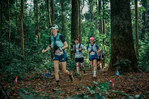 BIB: 
                            <button type="button" onclick="openModal(26128822)" class="btn btn-primary btn-sm float-right btn-popup" data-toggle="modal" data-target=".modal-high-quality">
                        <i class="fas fa-shopping-cart"></i> Add to Cart
                    </button>
                                            <button type="button" onclick="isThisMe(26128822, true)" class="btn btn-success btn-sm float-right btn-popup btn-isme hidden" data-toggle="tooltip" data-placement="bottom" title="นี่คือรูปของคุณใช่ไหม คลิกที่นี่เพื่อเอาเข้าอัลบั้ม">
                        <i class="fas fa-plus"></i> Add to album
                    </button>
                    <button type="button" onclick="isThisMe(26128822, false)" class="btn btn-warning btn-sm float-right btn-popup btn-isnotme hidden">
                        <i class="fas fa-ban"></i> Remove from album
                    </button>