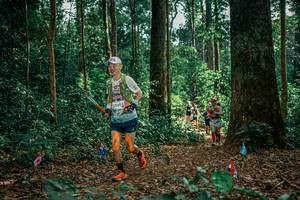 BIB: 
                            <button type="button" onclick="openModal(26130560)" class="btn btn-primary btn-sm float-right btn-popup" data-toggle="modal" data-target=".modal-high-quality">
                        <i class="fas fa-shopping-cart"></i> Add to Cart
                    </button>
                                            <button type="button" onclick="isThisMe(26130560, true)" class="btn btn-success btn-sm float-right btn-popup btn-isme hidden" data-toggle="tooltip" data-placement="bottom" title="นี่คือรูปของคุณใช่ไหม คลิกที่นี่เพื่อเอาเข้าอัลบั้ม">
                        <i class="fas fa-plus"></i> Add to album
                    </button>
                    <button type="button" onclick="isThisMe(26130560, false)" class="btn btn-warning btn-sm float-right btn-popup btn-isnotme hidden">
                        <i class="fas fa-ban"></i> Remove from album
                    </button>