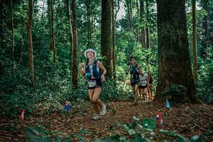 BIB: 
                            <button type="button" onclick="openModal(26128345)" class="btn btn-primary btn-sm float-right btn-popup" data-toggle="modal" data-target=".modal-high-quality">
                        <i class="fas fa-shopping-cart"></i> Add to Cart
                    </button>
                                            <button type="button" onclick="isThisMe(26128345, true)" class="btn btn-success btn-sm float-right btn-popup btn-isme hidden" data-toggle="tooltip" data-placement="bottom" title="นี่คือรูปของคุณใช่ไหม คลิกที่นี่เพื่อเอาเข้าอัลบั้ม">
                        <i class="fas fa-plus"></i> Add to album
                    </button>
                    <button type="button" onclick="isThisMe(26128345, false)" class="btn btn-warning btn-sm float-right btn-popup btn-isnotme hidden">
                        <i class="fas fa-ban"></i> Remove from album
                    </button>