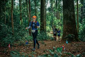 BIB: 
                            <button type="button" onclick="openModal(26129071)" class="btn btn-primary btn-sm float-right btn-popup" data-toggle="modal" data-target=".modal-high-quality">
                        <i class="fas fa-shopping-cart"></i> Add to Cart
                    </button>
                                            <button type="button" onclick="isThisMe(26129071, true)" class="btn btn-success btn-sm float-right btn-popup btn-isme hidden" data-toggle="tooltip" data-placement="bottom" title="นี่คือรูปของคุณใช่ไหม คลิกที่นี่เพื่อเอาเข้าอัลบั้ม">
                        <i class="fas fa-plus"></i> Add to album
                    </button>
                    <button type="button" onclick="isThisMe(26129071, false)" class="btn btn-warning btn-sm float-right btn-popup btn-isnotme hidden">
                        <i class="fas fa-ban"></i> Remove from album
                    </button>