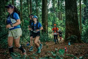 BIB: 
                            <button type="button" onclick="openModal(26128624)" class="btn btn-primary btn-sm float-right btn-popup" data-toggle="modal" data-target=".modal-high-quality">
                        <i class="fas fa-shopping-cart"></i> Add to Cart
                    </button>
                                            <button type="button" onclick="isThisMe(26128624, true)" class="btn btn-success btn-sm float-right btn-popup btn-isme hidden" data-toggle="tooltip" data-placement="bottom" title="นี่คือรูปของคุณใช่ไหม คลิกที่นี่เพื่อเอาเข้าอัลบั้ม">
                        <i class="fas fa-plus"></i> Add to album
                    </button>
                    <button type="button" onclick="isThisMe(26128624, false)" class="btn btn-warning btn-sm float-right btn-popup btn-isnotme hidden">
                        <i class="fas fa-ban"></i> Remove from album
                    </button>