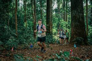 BIB: 
                            <button type="button" onclick="openModal(26129883)" class="btn btn-primary btn-sm float-right btn-popup" data-toggle="modal" data-target=".modal-high-quality">
                        <i class="fas fa-shopping-cart"></i> Add to Cart
                    </button>
                                            <button type="button" onclick="isThisMe(26129883, true)" class="btn btn-success btn-sm float-right btn-popup btn-isme hidden" data-toggle="tooltip" data-placement="bottom" title="นี่คือรูปของคุณใช่ไหม คลิกที่นี่เพื่อเอาเข้าอัลบั้ม">
                        <i class="fas fa-plus"></i> Add to album
                    </button>
                    <button type="button" onclick="isThisMe(26129883, false)" class="btn btn-warning btn-sm float-right btn-popup btn-isnotme hidden">
                        <i class="fas fa-ban"></i> Remove from album
                    </button>