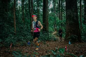 BIB: 
                            <button type="button" onclick="openModal(26131787)" class="btn btn-primary btn-sm float-right btn-popup" data-toggle="modal" data-target=".modal-high-quality">
                        <i class="fas fa-shopping-cart"></i> Add to Cart
                    </button>
                                            <button type="button" onclick="isThisMe(26131787, true)" class="btn btn-success btn-sm float-right btn-popup btn-isme hidden" data-toggle="tooltip" data-placement="bottom" title="นี่คือรูปของคุณใช่ไหม คลิกที่นี่เพื่อเอาเข้าอัลบั้ม">
                        <i class="fas fa-plus"></i> Add to album
                    </button>
                    <button type="button" onclick="isThisMe(26131787, false)" class="btn btn-warning btn-sm float-right btn-popup btn-isnotme hidden">
                        <i class="fas fa-ban"></i> Remove from album
                    </button>