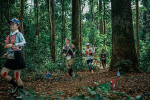 BIB: 
                            <button type="button" onclick="openModal(26128877)" class="btn btn-primary btn-sm float-right btn-popup" data-toggle="modal" data-target=".modal-high-quality">
                        <i class="fas fa-shopping-cart"></i> Add to Cart
                    </button>
                                            <button type="button" onclick="isThisMe(26128877, true)" class="btn btn-success btn-sm float-right btn-popup btn-isme hidden" data-toggle="tooltip" data-placement="bottom" title="นี่คือรูปของคุณใช่ไหม คลิกที่นี่เพื่อเอาเข้าอัลบั้ม">
                        <i class="fas fa-plus"></i> Add to album
                    </button>
                    <button type="button" onclick="isThisMe(26128877, false)" class="btn btn-warning btn-sm float-right btn-popup btn-isnotme hidden">
                        <i class="fas fa-ban"></i> Remove from album
                    </button>