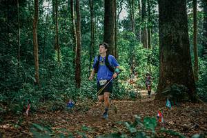 BIB: 
                            <button type="button" onclick="openModal(26130686)" class="btn btn-primary btn-sm float-right btn-popup" data-toggle="modal" data-target=".modal-high-quality">
                        <i class="fas fa-shopping-cart"></i> Add to Cart
                    </button>
                                            <button type="button" onclick="isThisMe(26130686, true)" class="btn btn-success btn-sm float-right btn-popup btn-isme hidden" data-toggle="tooltip" data-placement="bottom" title="นี่คือรูปของคุณใช่ไหม คลิกที่นี่เพื่อเอาเข้าอัลบั้ม">
                        <i class="fas fa-plus"></i> Add to album
                    </button>
                    <button type="button" onclick="isThisMe(26130686, false)" class="btn btn-warning btn-sm float-right btn-popup btn-isnotme hidden">
                        <i class="fas fa-ban"></i> Remove from album
                    </button>