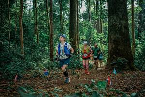 BIB: 
                            <button type="button" onclick="openModal(26128539)" class="btn btn-primary btn-sm float-right btn-popup" data-toggle="modal" data-target=".modal-high-quality">
                        <i class="fas fa-shopping-cart"></i> Add to Cart
                    </button>
                                            <button type="button" onclick="isThisMe(26128539, true)" class="btn btn-success btn-sm float-right btn-popup btn-isme hidden" data-toggle="tooltip" data-placement="bottom" title="นี่คือรูปของคุณใช่ไหม คลิกที่นี่เพื่อเอาเข้าอัลบั้ม">
                        <i class="fas fa-plus"></i> Add to album
                    </button>
                    <button type="button" onclick="isThisMe(26128539, false)" class="btn btn-warning btn-sm float-right btn-popup btn-isnotme hidden">
                        <i class="fas fa-ban"></i> Remove from album
                    </button>