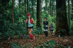 BIB: 
                            <button type="button" onclick="openModal(26132508)" class="btn btn-primary btn-sm float-right btn-popup" data-toggle="modal" data-target=".modal-high-quality">
                        <i class="fas fa-shopping-cart"></i> Add to Cart
                    </button>
                                            <button type="button" onclick="isThisMe(26132508, true)" class="btn btn-success btn-sm float-right btn-popup btn-isme hidden" data-toggle="tooltip" data-placement="bottom" title="นี่คือรูปของคุณใช่ไหม คลิกที่นี่เพื่อเอาเข้าอัลบั้ม">
                        <i class="fas fa-plus"></i> Add to album
                    </button>
                    <button type="button" onclick="isThisMe(26132508, false)" class="btn btn-warning btn-sm float-right btn-popup btn-isnotme hidden">
                        <i class="fas fa-ban"></i> Remove from album
                    </button>