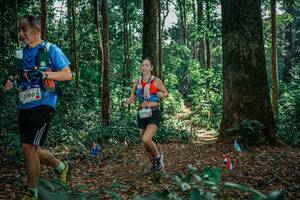 BIB: 
                            <button type="button" onclick="openModal(26128195)" class="btn btn-primary btn-sm float-right btn-popup" data-toggle="modal" data-target=".modal-high-quality">
                        <i class="fas fa-shopping-cart"></i> Add to Cart
                    </button>
                                            <button type="button" onclick="isThisMe(26128195, true)" class="btn btn-success btn-sm float-right btn-popup btn-isme hidden" data-toggle="tooltip" data-placement="bottom" title="นี่คือรูปของคุณใช่ไหม คลิกที่นี่เพื่อเอาเข้าอัลบั้ม">
                        <i class="fas fa-plus"></i> Add to album
                    </button>
                    <button type="button" onclick="isThisMe(26128195, false)" class="btn btn-warning btn-sm float-right btn-popup btn-isnotme hidden">
                        <i class="fas fa-ban"></i> Remove from album
                    </button>