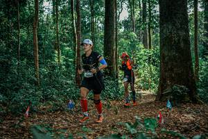 BIB: 
                            <button type="button" onclick="openModal(26132561)" class="btn btn-primary btn-sm float-right btn-popup" data-toggle="modal" data-target=".modal-high-quality">
                        <i class="fas fa-shopping-cart"></i> Add to Cart
                    </button>
                                            <button type="button" onclick="isThisMe(26132561, true)" class="btn btn-success btn-sm float-right btn-popup btn-isme hidden" data-toggle="tooltip" data-placement="bottom" title="นี่คือรูปของคุณใช่ไหม คลิกที่นี่เพื่อเอาเข้าอัลบั้ม">
                        <i class="fas fa-plus"></i> Add to album
                    </button>
                    <button type="button" onclick="isThisMe(26132561, false)" class="btn btn-warning btn-sm float-right btn-popup btn-isnotme hidden">
                        <i class="fas fa-ban"></i> Remove from album
                    </button>