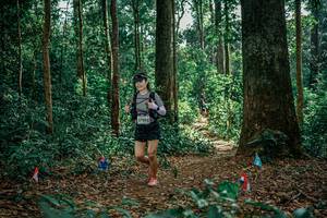 BIB: 
                            <button type="button" onclick="openModal(26129350)" class="btn btn-primary btn-sm float-right btn-popup" data-toggle="modal" data-target=".modal-high-quality">
                        <i class="fas fa-shopping-cart"></i> Add to Cart
                    </button>
                                            <button type="button" onclick="isThisMe(26129350, true)" class="btn btn-success btn-sm float-right btn-popup btn-isme hidden" data-toggle="tooltip" data-placement="bottom" title="นี่คือรูปของคุณใช่ไหม คลิกที่นี่เพื่อเอาเข้าอัลบั้ม">
                        <i class="fas fa-plus"></i> Add to album
                    </button>
                    <button type="button" onclick="isThisMe(26129350, false)" class="btn btn-warning btn-sm float-right btn-popup btn-isnotme hidden">
                        <i class="fas fa-ban"></i> Remove from album
                    </button>