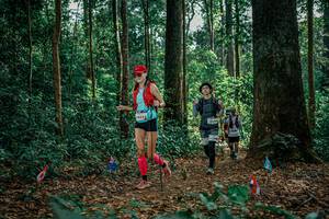 BIB: 
                            <button type="button" onclick="openModal(26132509)" class="btn btn-primary btn-sm float-right btn-popup" data-toggle="modal" data-target=".modal-high-quality">
                        <i class="fas fa-shopping-cart"></i> Add to Cart
                    </button>
                                            <button type="button" onclick="isThisMe(26132509, true)" class="btn btn-success btn-sm float-right btn-popup btn-isme hidden" data-toggle="tooltip" data-placement="bottom" title="นี่คือรูปของคุณใช่ไหม คลิกที่นี่เพื่อเอาเข้าอัลบั้ม">
                        <i class="fas fa-plus"></i> Add to album
                    </button>
                    <button type="button" onclick="isThisMe(26132509, false)" class="btn btn-warning btn-sm float-right btn-popup btn-isnotme hidden">
                        <i class="fas fa-ban"></i> Remove from album
                    </button>