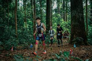 BIB: 
                            <button type="button" onclick="openModal(26132325)" class="btn btn-primary btn-sm float-right btn-popup" data-toggle="modal" data-target=".modal-high-quality">
                        <i class="fas fa-shopping-cart"></i> Add to Cart
                    </button>
                                            <button type="button" onclick="isThisMe(26132325, true)" class="btn btn-success btn-sm float-right btn-popup btn-isme hidden" data-toggle="tooltip" data-placement="bottom" title="นี่คือรูปของคุณใช่ไหม คลิกที่นี่เพื่อเอาเข้าอัลบั้ม">
                        <i class="fas fa-plus"></i> Add to album
                    </button>
                    <button type="button" onclick="isThisMe(26132325, false)" class="btn btn-warning btn-sm float-right btn-popup btn-isnotme hidden">
                        <i class="fas fa-ban"></i> Remove from album
                    </button>