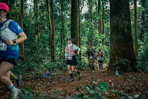 BIB: 
                            <button type="button" onclick="openModal(26128867)" class="btn btn-primary btn-sm float-right btn-popup" data-toggle="modal" data-target=".modal-high-quality">
                        <i class="fas fa-shopping-cart"></i> Add to Cart
                    </button>
                                            <button type="button" onclick="isThisMe(26128867, true)" class="btn btn-success btn-sm float-right btn-popup btn-isme hidden" data-toggle="tooltip" data-placement="bottom" title="นี่คือรูปของคุณใช่ไหม คลิกที่นี่เพื่อเอาเข้าอัลบั้ม">
                        <i class="fas fa-plus"></i> Add to album
                    </button>
                    <button type="button" onclick="isThisMe(26128867, false)" class="btn btn-warning btn-sm float-right btn-popup btn-isnotme hidden">
                        <i class="fas fa-ban"></i> Remove from album
                    </button>