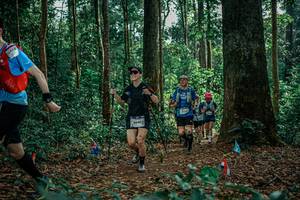 BIB: 
                            <button type="button" onclick="openModal(26128792)" class="btn btn-primary btn-sm float-right btn-popup" data-toggle="modal" data-target=".modal-high-quality">
                        <i class="fas fa-shopping-cart"></i> Add to Cart
                    </button>
                                            <button type="button" onclick="isThisMe(26128792, true)" class="btn btn-success btn-sm float-right btn-popup btn-isme hidden" data-toggle="tooltip" data-placement="bottom" title="นี่คือรูปของคุณใช่ไหม คลิกที่นี่เพื่อเอาเข้าอัลบั้ม">
                        <i class="fas fa-plus"></i> Add to album
                    </button>
                    <button type="button" onclick="isThisMe(26128792, false)" class="btn btn-warning btn-sm float-right btn-popup btn-isnotme hidden">
                        <i class="fas fa-ban"></i> Remove from album
                    </button>