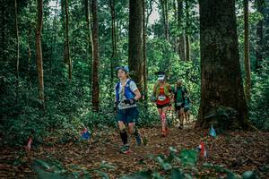 BIB: 
                            <button type="button" onclick="openModal(26128543)" class="btn btn-primary btn-sm float-right btn-popup" data-toggle="modal" data-target=".modal-high-quality">
                        <i class="fas fa-shopping-cart"></i> Add to Cart
                    </button>
                                            <button type="button" onclick="isThisMe(26128543, true)" class="btn btn-success btn-sm float-right btn-popup btn-isme hidden" data-toggle="tooltip" data-placement="bottom" title="นี่คือรูปของคุณใช่ไหม คลิกที่นี่เพื่อเอาเข้าอัลบั้ม">
                        <i class="fas fa-plus"></i> Add to album
                    </button>
                    <button type="button" onclick="isThisMe(26128543, false)" class="btn btn-warning btn-sm float-right btn-popup btn-isnotme hidden">
                        <i class="fas fa-ban"></i> Remove from album
                    </button>