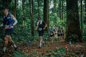 BIB: 
                            <button type="button" onclick="openModal(26133486)" class="btn btn-primary btn-sm float-right btn-popup" data-toggle="modal" data-target=".modal-high-quality">
                        <i class="fas fa-shopping-cart"></i> Add to Cart
                    </button>
                                            <button type="button" onclick="isThisMe(26133486, true)" class="btn btn-success btn-sm float-right btn-popup btn-isme hidden" data-toggle="tooltip" data-placement="bottom" title="นี่คือรูปของคุณใช่ไหม คลิกที่นี่เพื่อเอาเข้าอัลบั้ม">
                        <i class="fas fa-plus"></i> Add to album
                    </button>
                    <button type="button" onclick="isThisMe(26133486, false)" class="btn btn-warning btn-sm float-right btn-popup btn-isnotme hidden">
                        <i class="fas fa-ban"></i> Remove from album
                    </button>