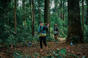 BIB: 
                            <button type="button" onclick="openModal(26130310)" class="btn btn-primary btn-sm float-right btn-popup" data-toggle="modal" data-target=".modal-high-quality">
                        <i class="fas fa-shopping-cart"></i> Add to Cart
                    </button>
                                            <button type="button" onclick="isThisMe(26130310, true)" class="btn btn-success btn-sm float-right btn-popup btn-isme hidden" data-toggle="tooltip" data-placement="bottom" title="นี่คือรูปของคุณใช่ไหม คลิกที่นี่เพื่อเอาเข้าอัลบั้ม">
                        <i class="fas fa-plus"></i> Add to album
                    </button>
                    <button type="button" onclick="isThisMe(26130310, false)" class="btn btn-warning btn-sm float-right btn-popup btn-isnotme hidden">
                        <i class="fas fa-ban"></i> Remove from album
                    </button>